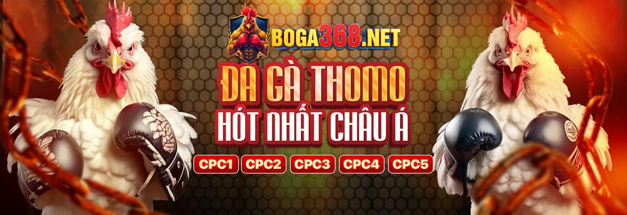 Hình ảnh chính về cá cược thể thao tại khin789 link mới